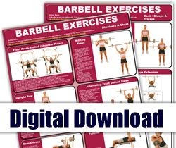 Digital - Barbell Mini-Posters