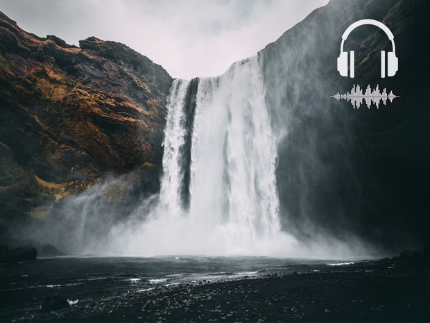 Peter mckinnon luts download torrent download