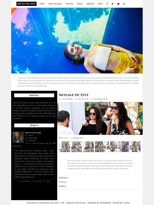 Wordpress Theme #01