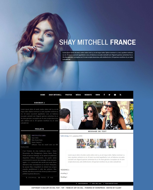 Wordpress Theme #02