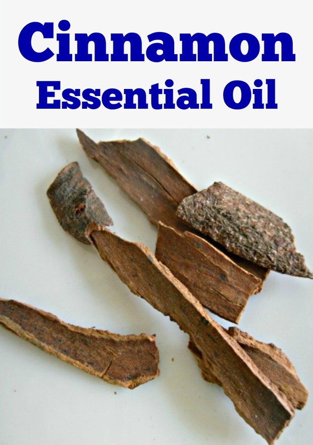 Cinnamon Essential Oil