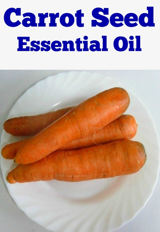 Carrot Seed Essential Oil
