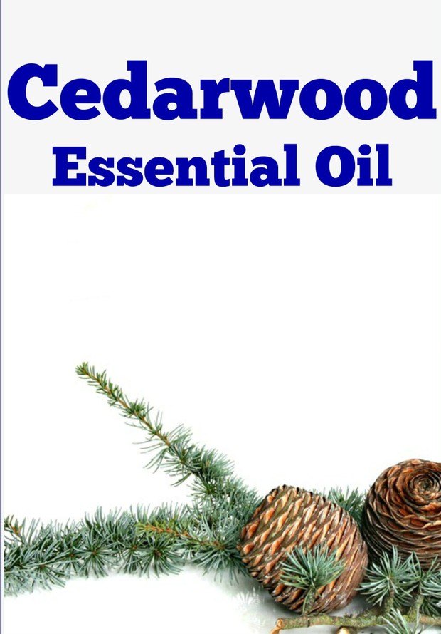 Cedarwood Essential Oil