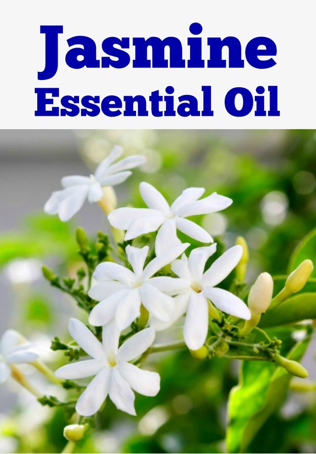 Jasmine Essential Oil
