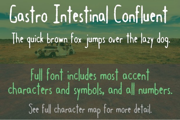 Gastro Intestinal Confluent Font - General Commercial License
