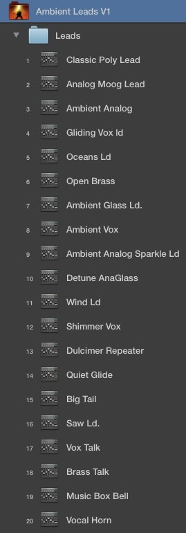 AMBIENT LEADS V1