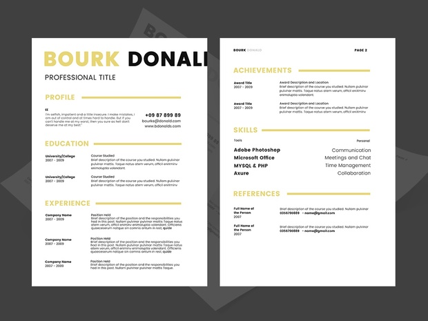 2017 Free Resume CV Template PSD