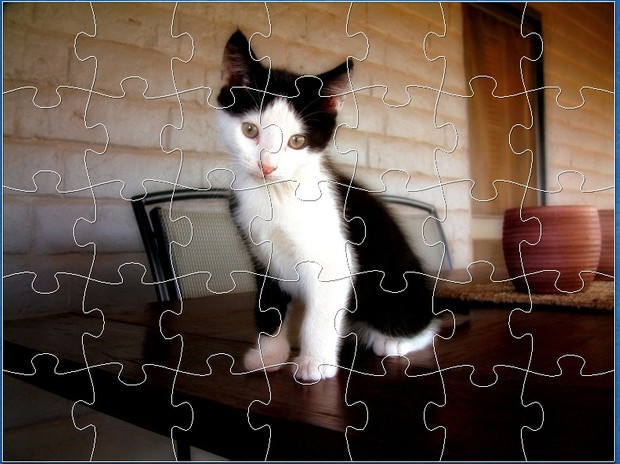 KITTY - E JIGSAW PUZZLE (Level Easy)