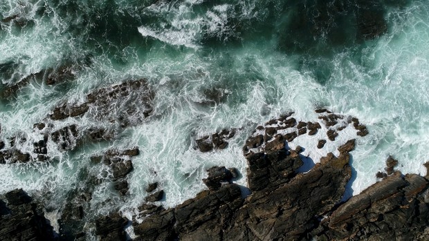 Coastline Wild #001 - Black Start Version