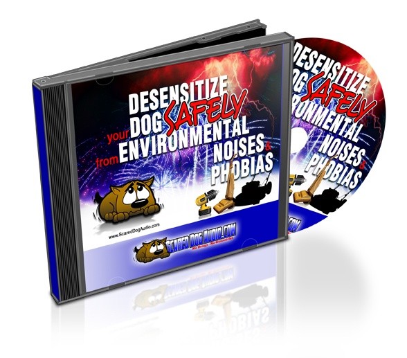 Scared Dog Audio