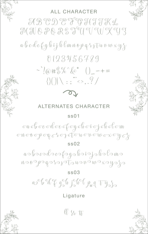 Setta Script Free Typeface