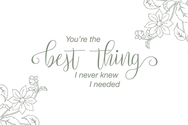 Setta Script Free Typeface