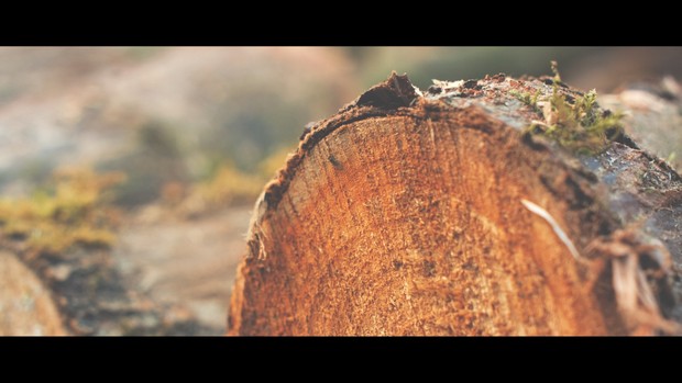 Blackmagic URSA mini 4.6k - Cream luts